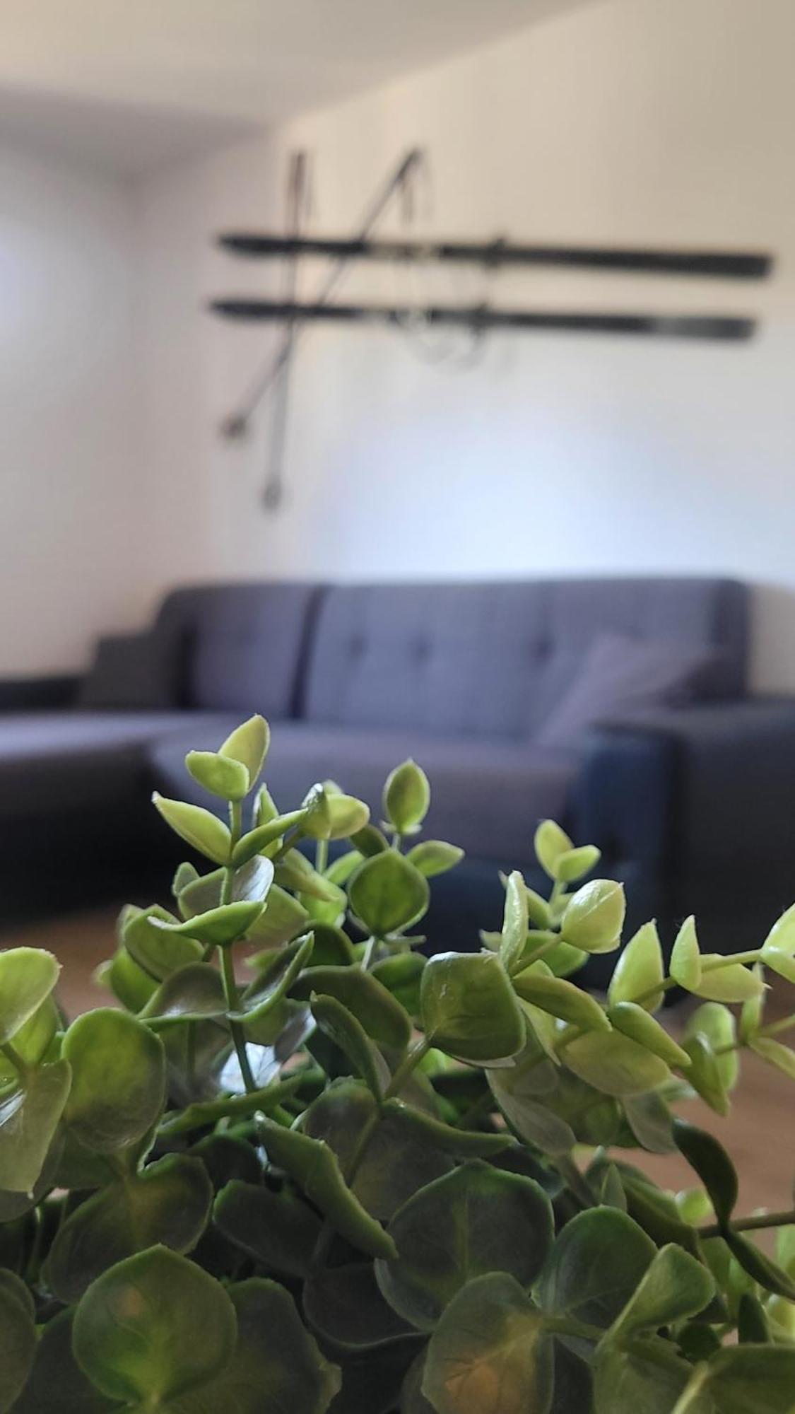 Otilia Apartment Zell am See Exterior foto